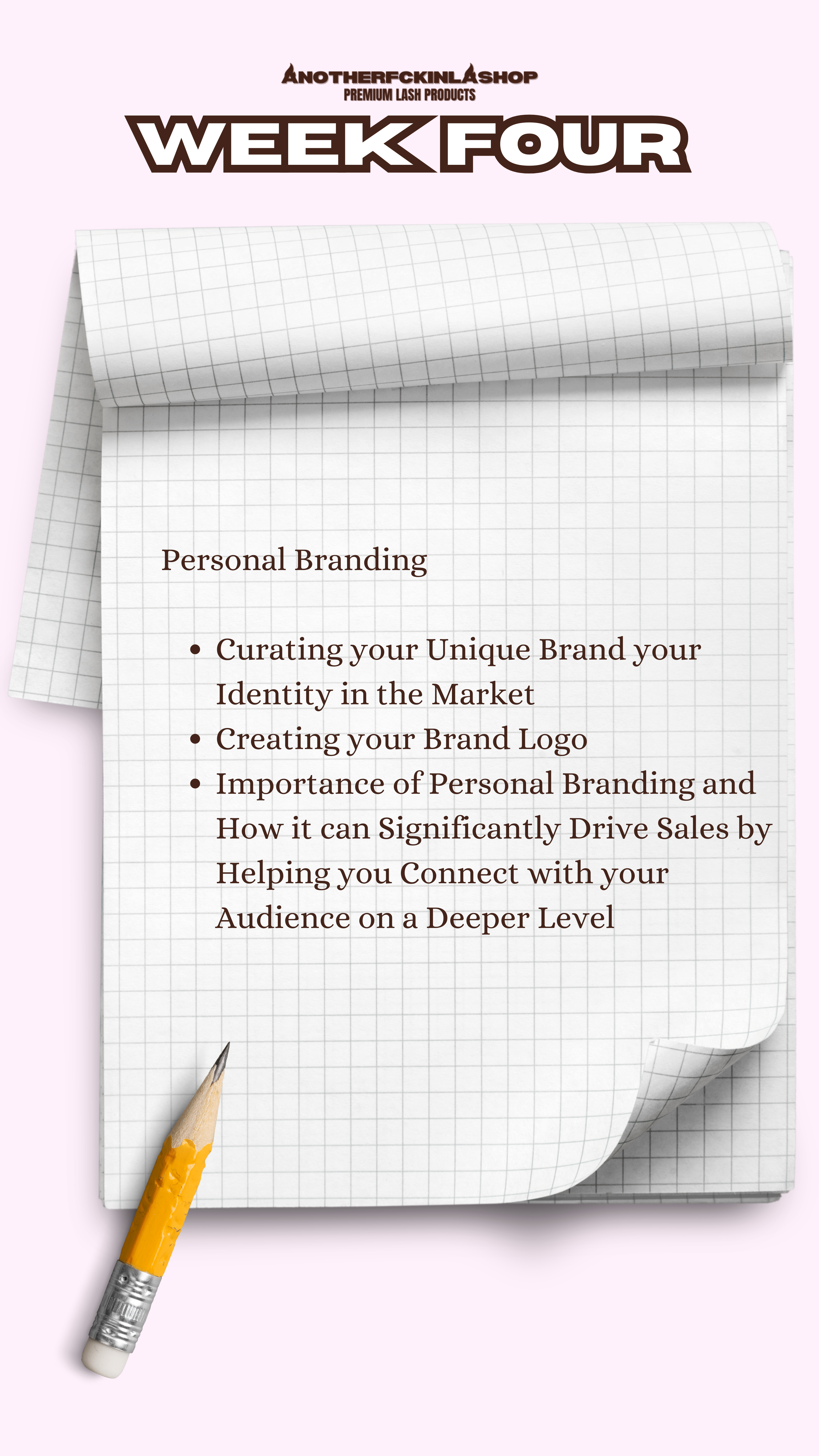 The Lash Line Blueprint | 10 WEEK MENTORSHIP