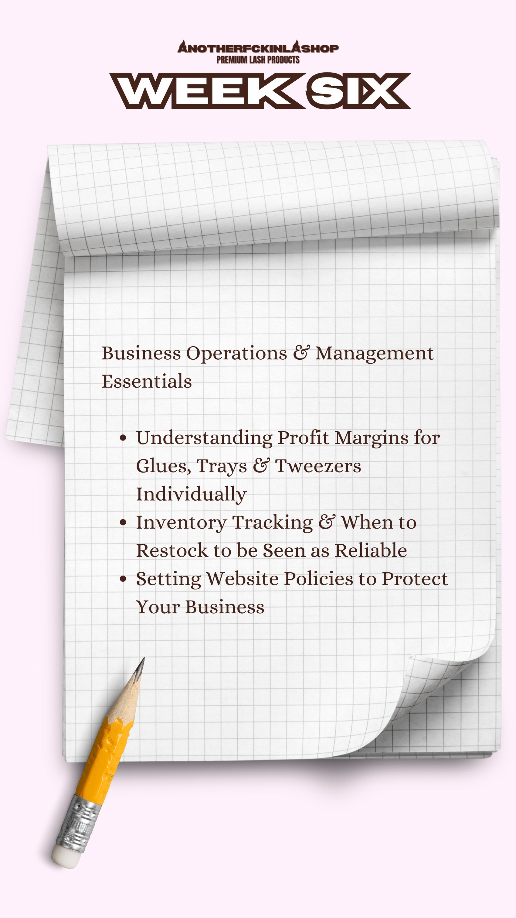 The Lash Line Blueprint | 10 WEEK MENTORSHIP