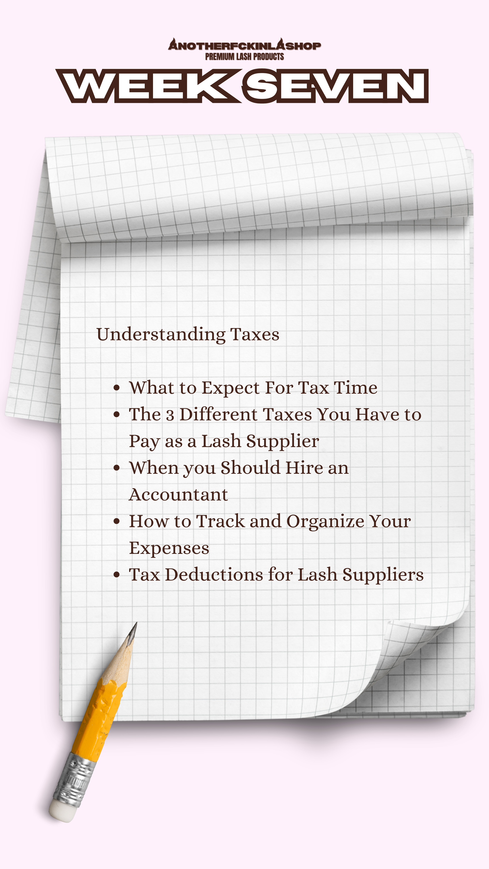 The Lash Line Blueprint | 10 WEEK MENTORSHIP