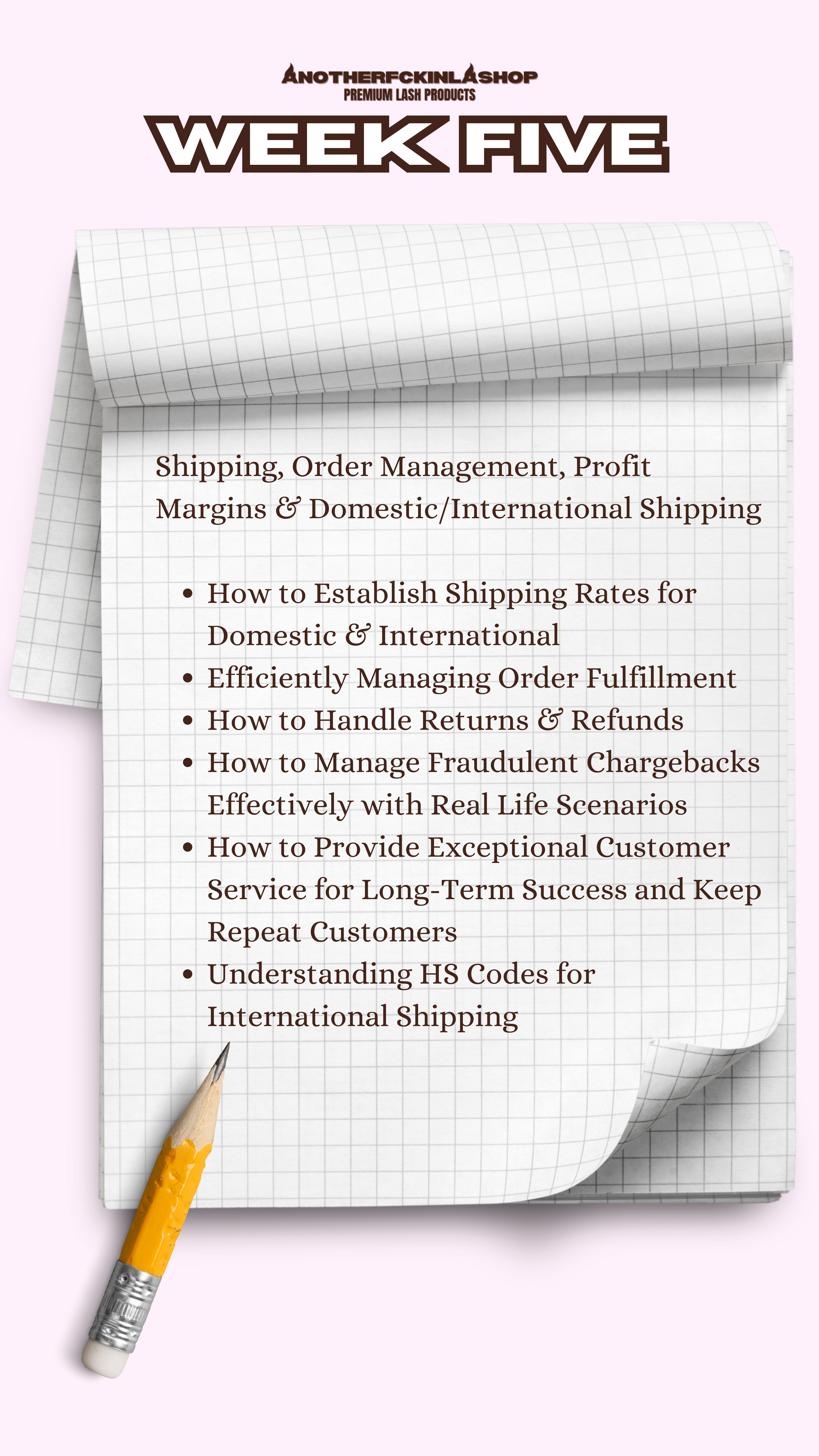 The Lash Line Blueprint | 10 WEEK MENTORSHIP