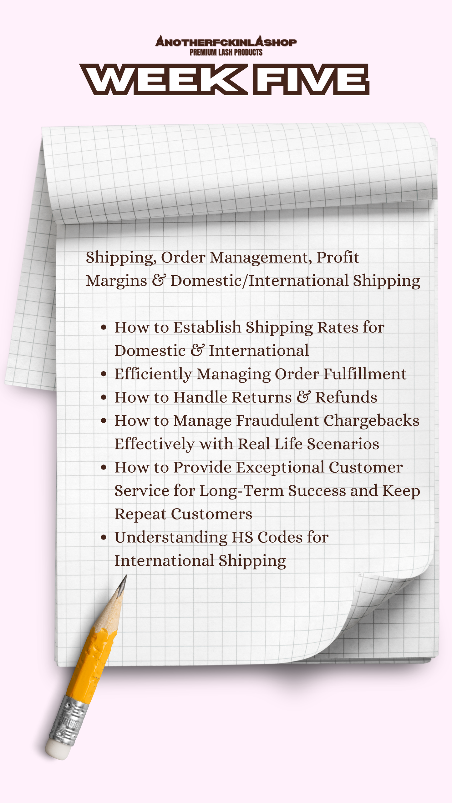 The Lash Line Blueprint | 10 WEEK MENTORSHIP