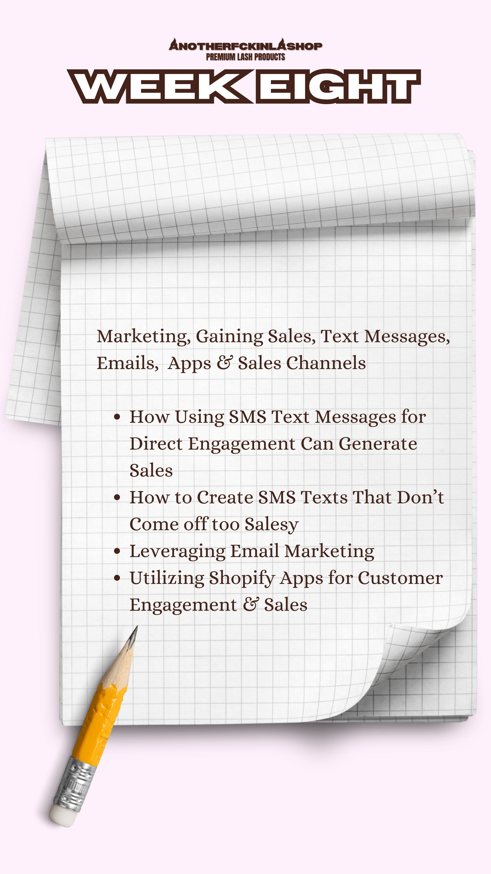 The Lash Line Blueprint | 10 WEEK MENTORSHIP