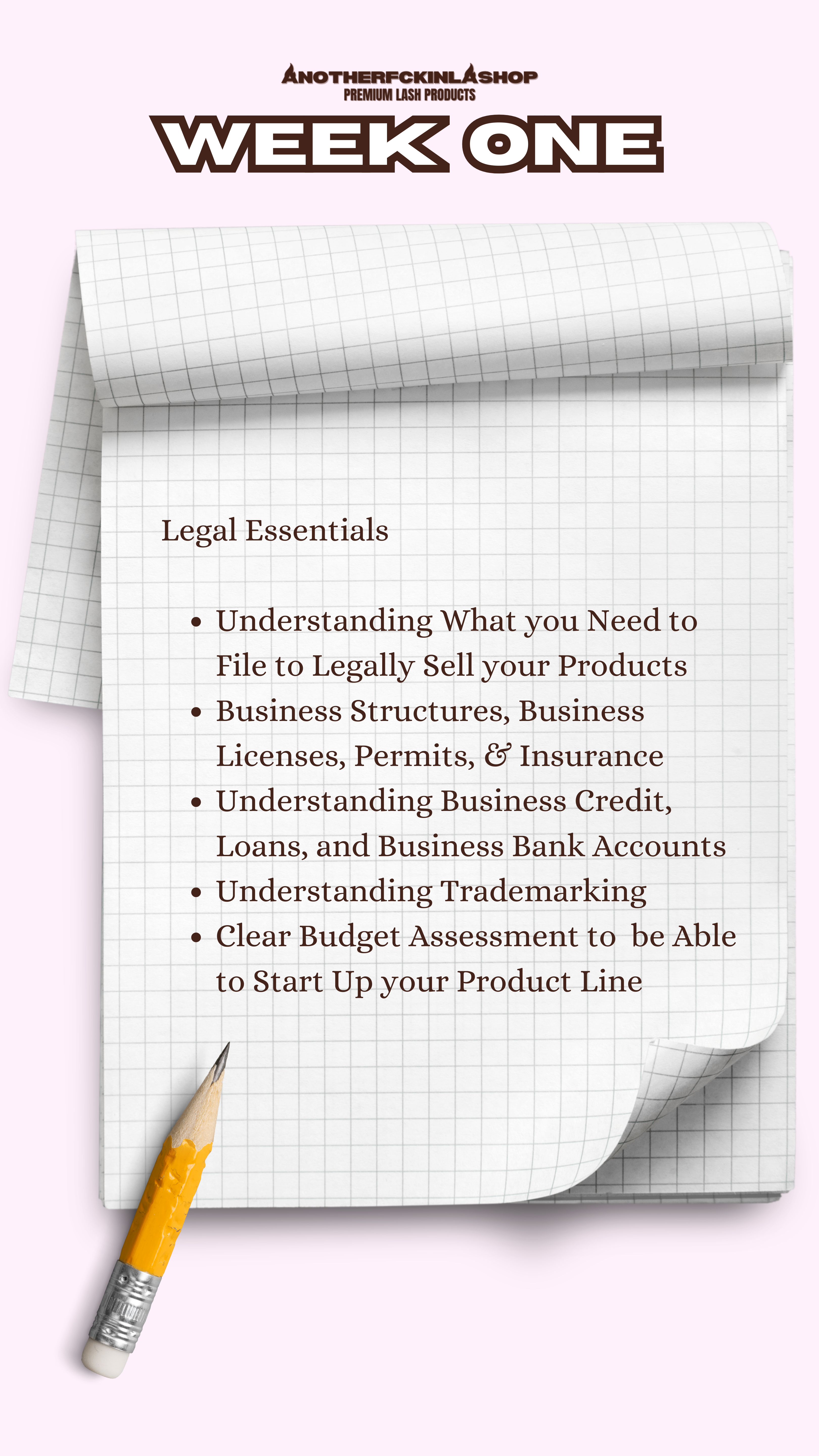 The Lash Line Blueprint | 10 WEEK MENTORSHIP