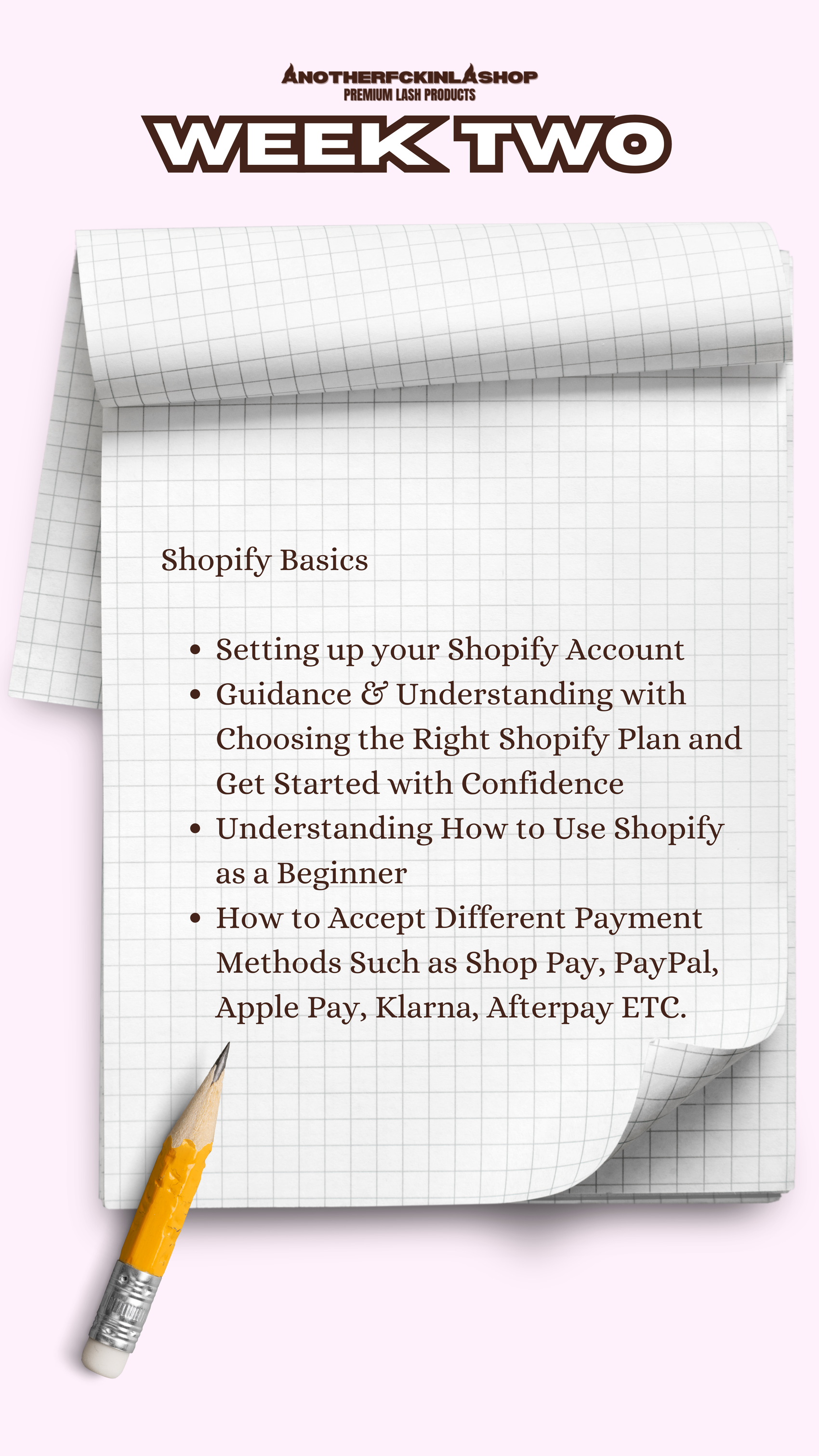 The Lash Line Blueprint | 10 WEEK MENTORSHIP